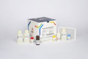 H Pylori Stool / pishtaz teb / پیشتاز طب / کیت تشخیص طبی 